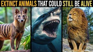 3 Extinct Animals That Could Still Be Alive