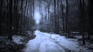 Amorphis - Dark Path