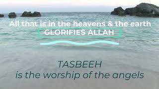 TASBEEH: The Glorification of Allah