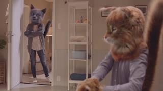 ARM & HAMMER Clump & Seal Cat Litter 2019 TV Commercial "Confidence"