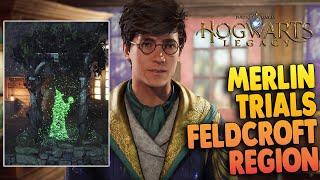 Hogwarts Legacy - Merlin Trials in FELDCROFT REGION (Merlin's Beard Trophy Guide)