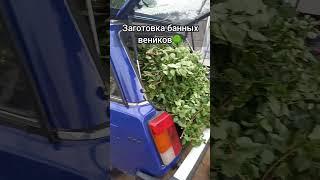 в деревне работы нет! езжайте в город