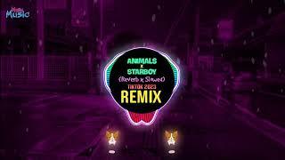 Animals x Starboy (Slowed To Perfection) DJ抖音版 Tiktok Remix 2023 || Hot Tiktok Douyin