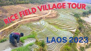 Rice Farming Village Tour | Laos 2023