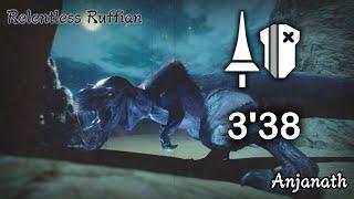 MH Rise | Anjanath 3'38''63 Lance + Commentary