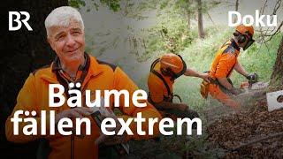 Bäume fällen extrem - Ausflug ins Hochmoor | Die Holzknechte 7/7 | Bergmenschen | Doku | BR