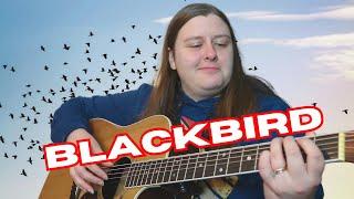 Blackbird- Fingerstyle Guitar