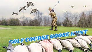 Goose Hunting a GOLF COURSE in Iowa (Multiple Bands)