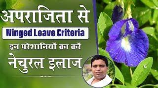 अपराजिता (Winged Leave Criteria) से इन परेशानियों का करें नेचुरल इलाज | Acharya Balkrishna