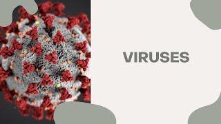 Viruses - The Different Types (Coronavirus + EBV + CMV + Herpes Virus + CoxB)