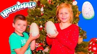 Assistant and Batboy have Hatchimal Christmas Surprise  with Paw Patrol