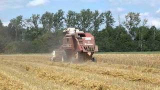 Laverda 3500 harvesting winterbarley