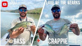 Spring Crappie Limit and Bass Fishing in a Jon Boat | Lake of the Ozarks