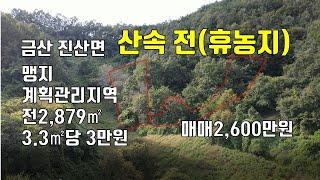 금산 진산면 산속 전(휴농지) 매매. 매물113