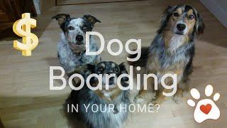 Start a dog boarding business from home