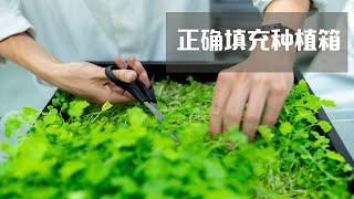 改造花园 (Part 3 ) / 正确填充种植箱 种植床 /Hochbeet richtig befüllen/ Fill Planter Box correctly