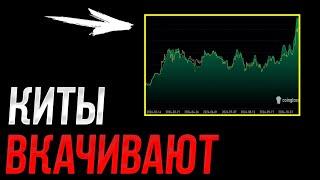 ️БИТКОИН - Киты двигают рынок! | Прогноз | Сегодня | Крипта