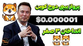 پرواز بیبی دوج کوین انداختن ۳ صفر 0.000001$؟ | انفجار بیبی دوج در راه است؟