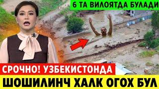 ШОШИЛИНЧ! ТАЙЁР ТУРИНГ УЗБЕКИСТОНДА 6 ТА ВИЛОЯТДА БОШЛАНАДИ ХАММА КУРСИН..