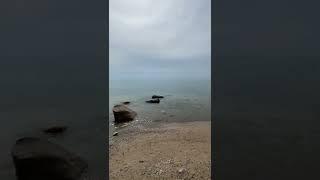 Petoskey Stone Hunt on the Shore of Lake Michigan is about to start #shorts #crystals #adventure