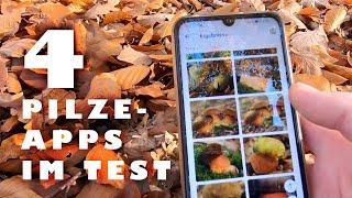 4 Pilze Apps im Test