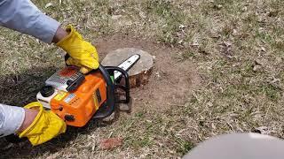 Chainsaw Stump Removal