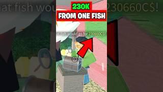 Best MONEY Farm Location in Fisch 
