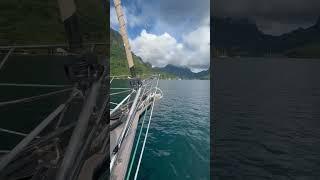 Are you born for adventure?  #sailboat #sailingchannel #boat#sailing #learntosail #newchannel