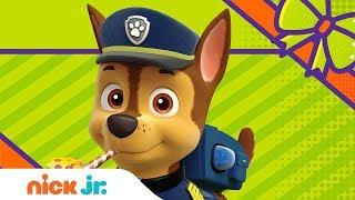 PAW Patrol’s Special Happy Birthday Song   | Nick Jr. Music