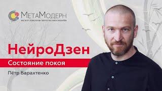 Дзен медитация онлайн. НейроДинамика / Петр Барахтенко