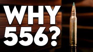 Why 556 Rules the World