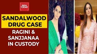 Sandalwood Drug Case: Kannada Actor Ragini Dwivedi & Sanjjanaa Galarani In Custody | India Today