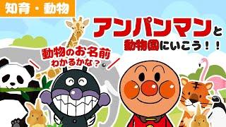 Let's go to the zoo with Anpanman and Baikinman!