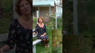 Костры горят далёкие - ЮЛИЯ БОГОЛЕПОВА