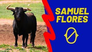 GANADERIA SAMUEL FLORES | TOROS 2022   (Reportaje completo)