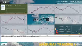 Monday - Saturday 24 hour Live Forex Trade