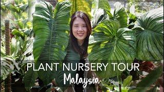 Plant Nursery Tour in Malaysia | Exotic, Rare & OVERSIZED Tropical Plants (with 40+ plant IDs)