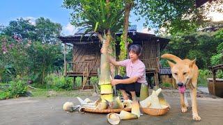 Picking chili in the garden, Gathering bamboo shoots, Building a woven house for new ducklings.