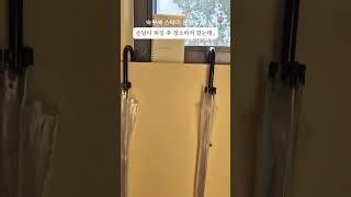 손님이 퇴실 후 청소하러 갔는데... #제주숙소 #제주여행 #산물19_1