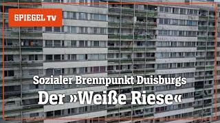 Der »Weiße Riese«: Leben im Duisburger Problemhochhaus | SPIEGEL TV