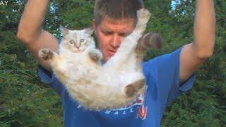 Slow Motion Flipping Cat Physics | Smarter Every Day 58