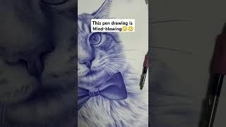 Realistic Pen Drawing Mind-Blowing