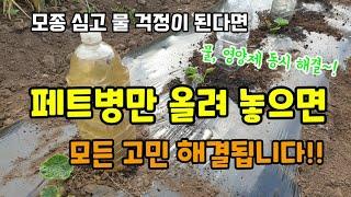 고추,가지,토마토,오이심고 잘 안자라고 물 걱정된다면 페트병만 올려 놓으면 모든고민이 해결됩니다 밭에 물 쉽게 주는 방법 페트병관수방법