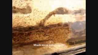 Great Ant Farm Setup!!! Day 293 and 295 - Tetramorium caespitum colony with New Nest Addition [HD]