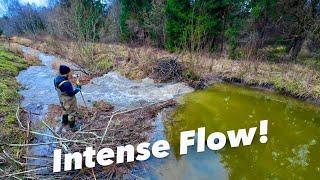 Beaver Dam Collapse in Friend's Property.