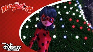  Karácsonyi keresés | Miraculous | Disney Csatorna