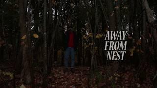 "Away From Nest"