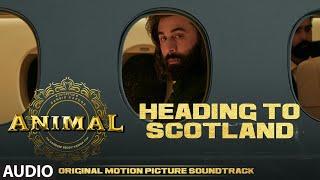 ANIMAL (BGM): HEADING TO SCOTLAND | Harshavardhan R | Ranbir K, Sandeep V, Bhushan K
