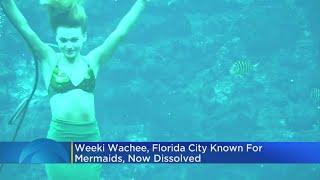 Weeki Wachee, Florida City Known For Mermaids, Now Dissolved