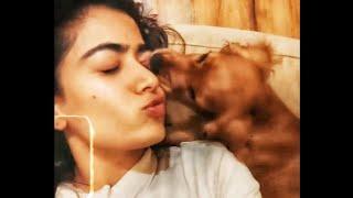 Rashmika Mandanna is having fun with her Puppy| i Stars #Shorts #indiashorts #Youtubeshorts #Short